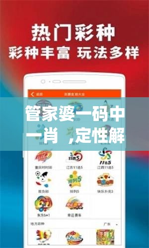管家婆一码中一肖  ,定性解答解释落实_Adanced.3.943