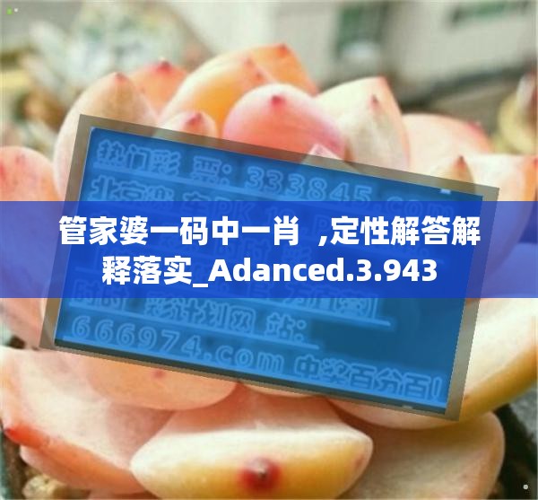 管家婆一码中一肖  ,定性解答解释落实_Adanced.3.943