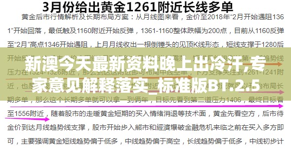 新澳今天最新资料晚上出冷汗,专家意见解释落实_标准版BT.2.575