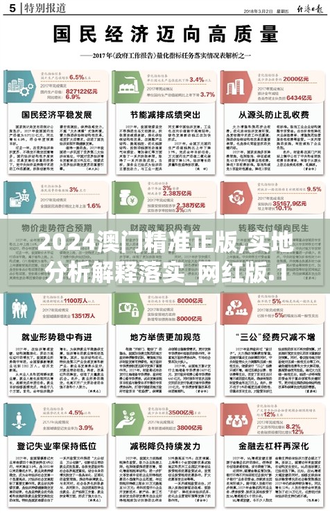 2024澳门精准正版,实地分析解释落实_网红版.1.782