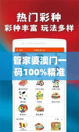 管家婆澳门一码100%精准2023,真实解答解释落实_试点版.8.382