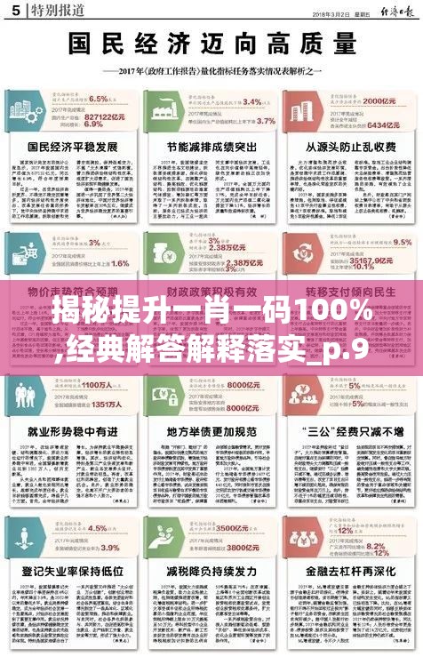 揭秘提升一肖一码100%,经典解答解释落实_p.9.592