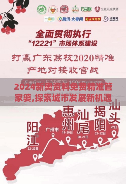 2024新奥资料免费精准管家婆,探索城市发展新机遇_灵敏版.4.441