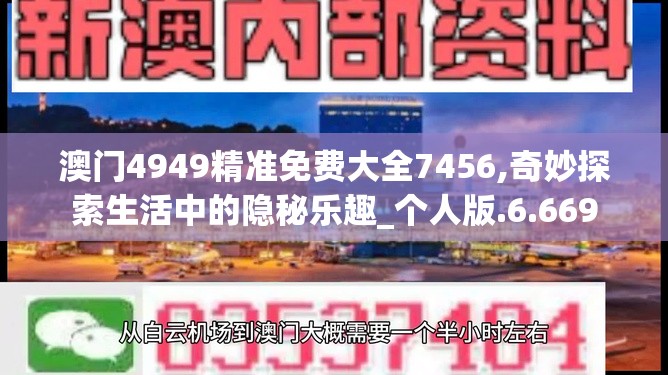 澳门4949精准免费大全7456,奇妙探索生活中的隐秘乐趣_个人版.6.669