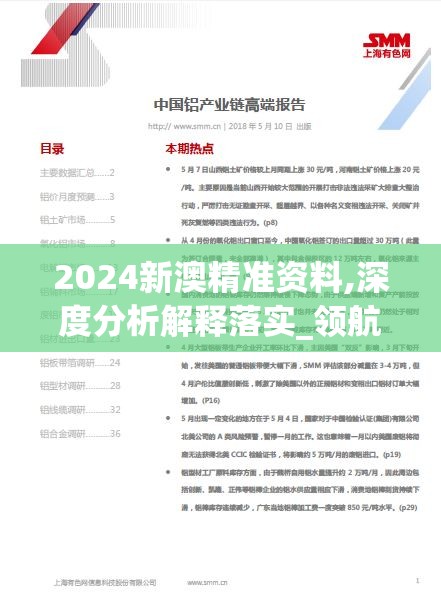 2024新澳精准资料,深度分析解释落实_领航款.7.772