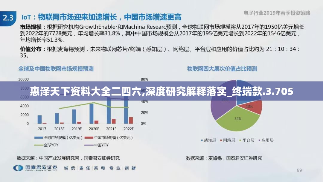 惠泽天下资料大全二四六,深度研究解释落实_终端款.3.705