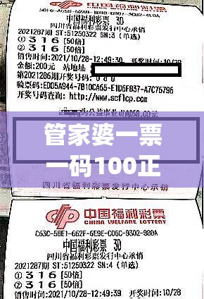 管家婆一票一码100正确  ,解析关键问题的重要性与实施策略_公开款.7.838