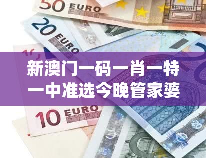 新澳门一码一肖一特一中准选今晚管家婆,理论依据解释落实_未来版THE.0.552