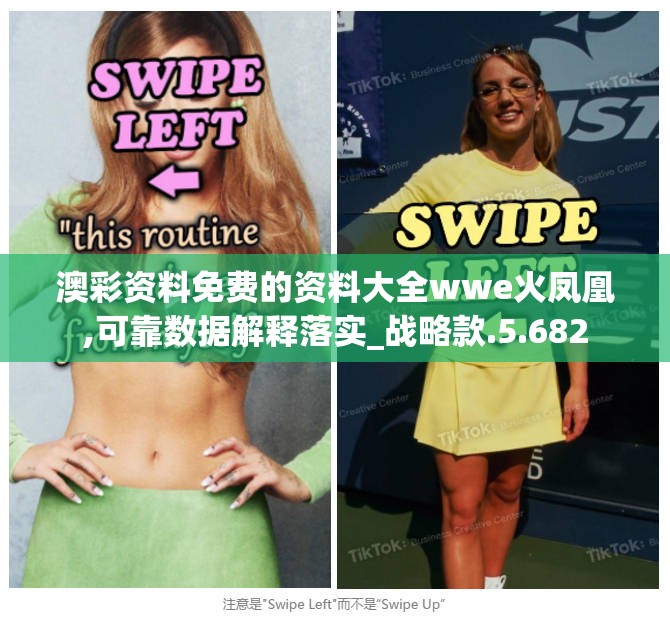 澳彩资料免费的资料大全wwe火凤凰,可靠数据解释落实_战略款.5.682