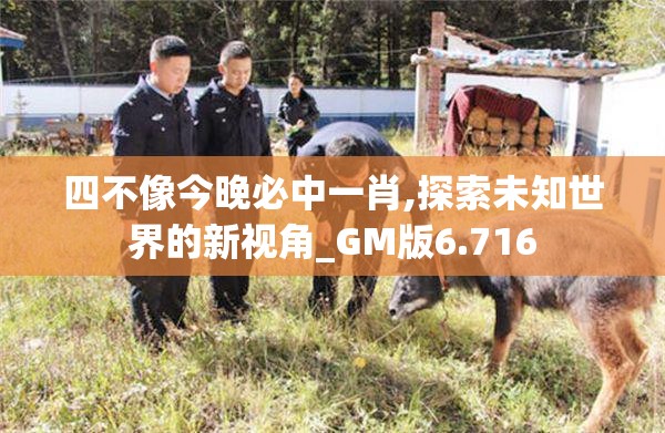 四不像今晚必中一肖,探索未知世界的新视角_GM版6.716