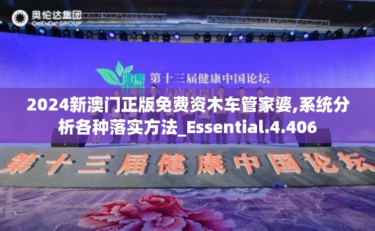 2024新澳门正版免费资木车管家婆,系统分析各种落实方法_Essential.4.406
