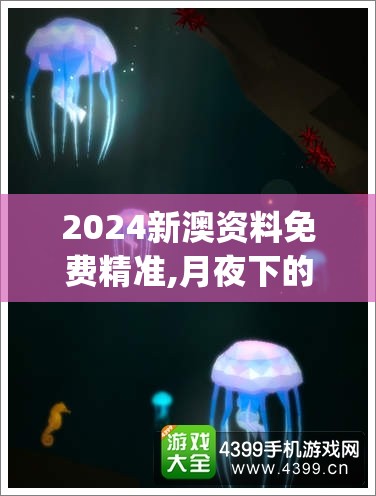 2024新澳资料免费精准,月夜下的星辰与梦想_精装款.1.704