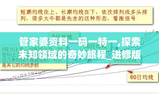 管家婆资料一码一特一,探索未知领域的奇妙旅程_进修版.9.537