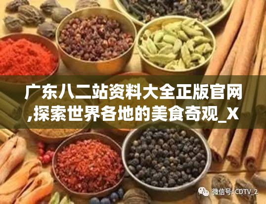 广东八二站资料大全正版官网,探索世界各地的美食奇观_X.5.746