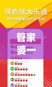 管家婆一码一肖100准火凤凰,实践解答解释落实_旗舰版6.202