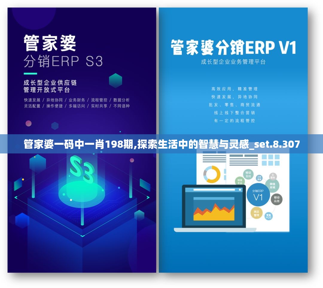 管家婆一码中一肖198期,探索生活中的智慧与灵感_set.8.307