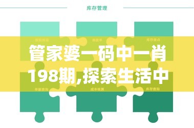 管家婆一码中一肖198期,探索生活中的智慧与灵感_set.8.307