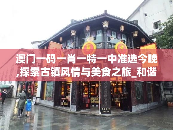 澳门一码一肖一特一中准选今晚,探索古镇风情与美食之旅_和谐型.3.403