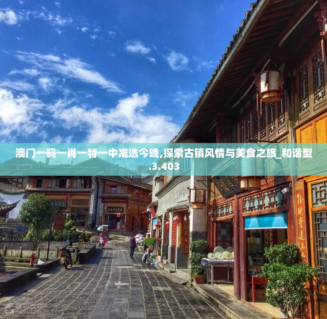 澳门一码一肖一特一中准选今晚,探索古镇风情与美食之旅_和谐型.3.403