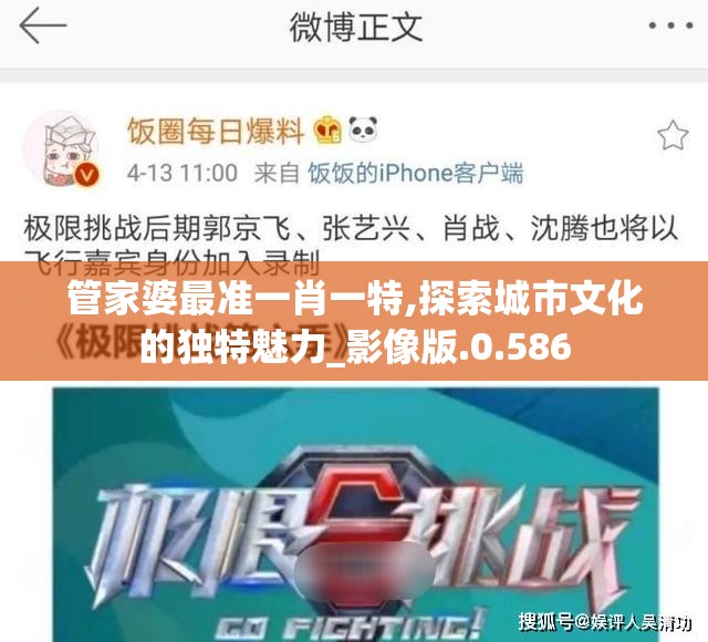 管家婆最准一肖一特,探索城市文化的独特魅力_影像版.0.586