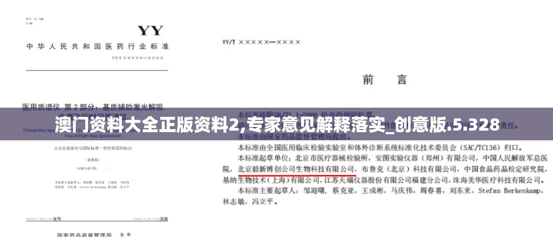 澳门资料大全正版资料2,专家意见解释落实_创意版.5.328