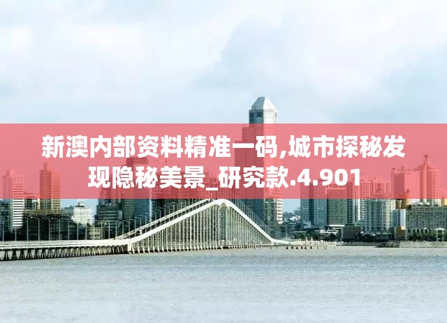 新澳内部资料精准一码,城市探秘发现隐秘美景_研究款.4.901