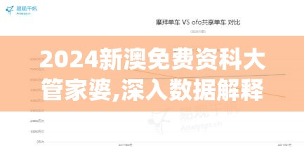 2024新澳免费资科大管家婆,深入数据解释落实_Console.1.806
