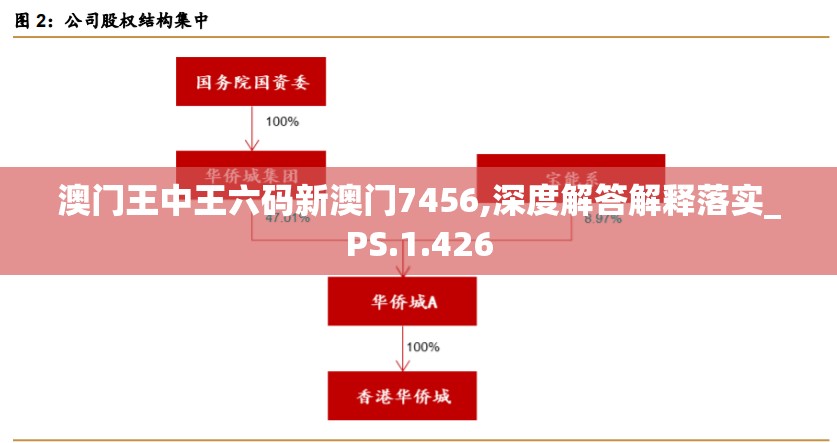 澳门王中王六码新澳门7456,深度解答解释落实_PS.1.426