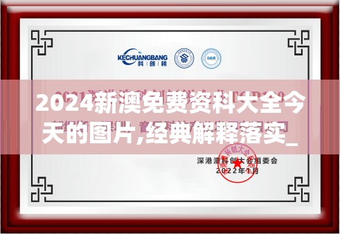 (中央海岸水手VS上海申花踢过的比分)中央海岸水手与上海申花，一场对决的体育盛宴