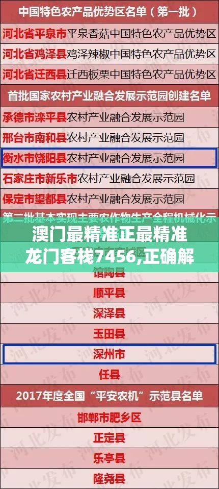 澳门最精准正最精准龙门客栈7456,正确解答落实_进修款.3.270