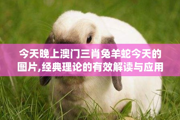 (绝区零在哪下载)绝区零游戏下载攻略及常见问题解答