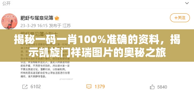 揭秘一码一肖100%准确的资料，揭示凯旋门祥瑞图片的奥秘之旅