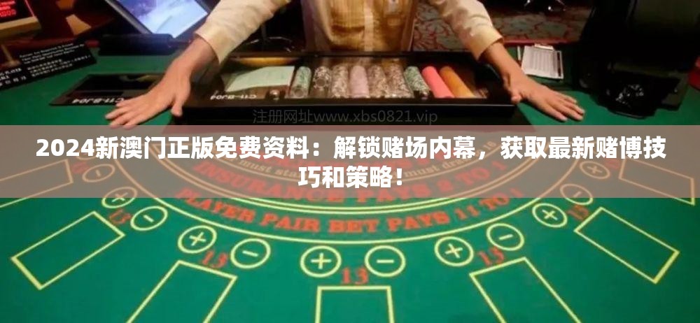 2024新澳门正版免费资料：解锁赌场内幕，获取最新赌博技巧和策略！