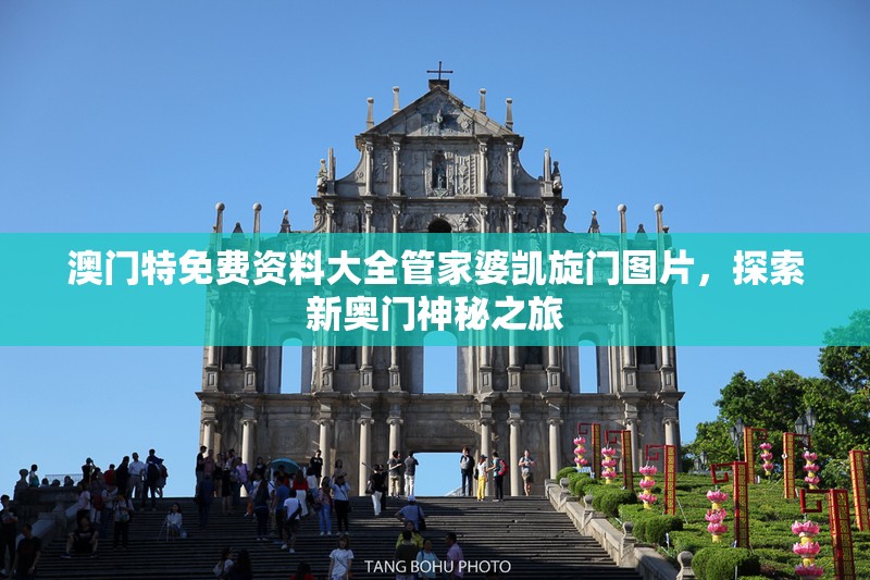 澳门特免费资料大全管家婆凯旋门图片，探索新奥门神秘之旅