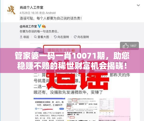 管家婆一码一肖10071期，助您稳赚不赔的稀世财富机会揭晓！