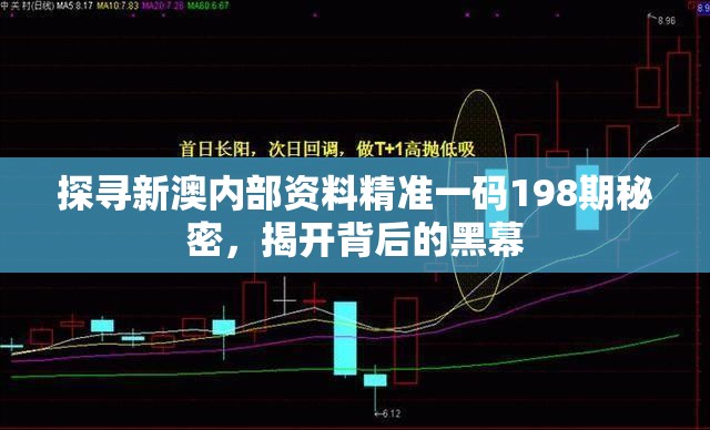 探寻新澳内部资料精准一码198期秘密，揭开背后的黑幕