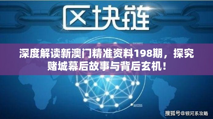 深度解读新澳门精准资料198期，探究赌城幕后故事与背后玄机！