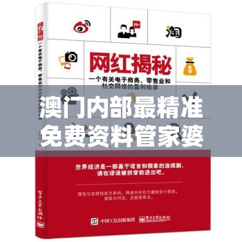 澳门内部最精准免费资料管家婆，为您解密无尽奥秘与赢利技巧