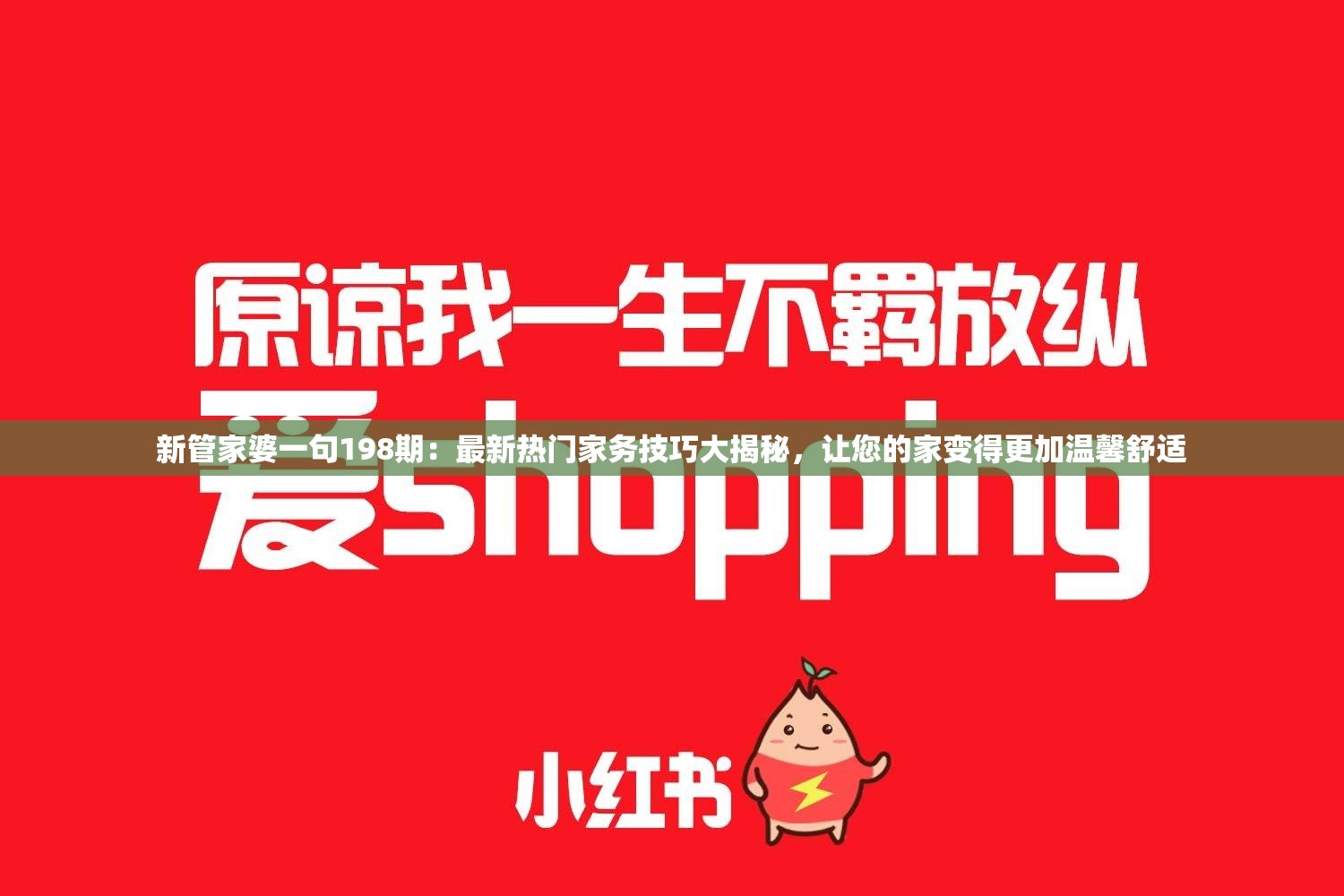 新管家婆一句198期：最新热门家务技巧大揭秘，让您的家变得更加温馨舒适