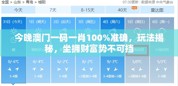 今晚澳门一码一肖100%准确，玩法揭秘，坐拥财富势不可挡