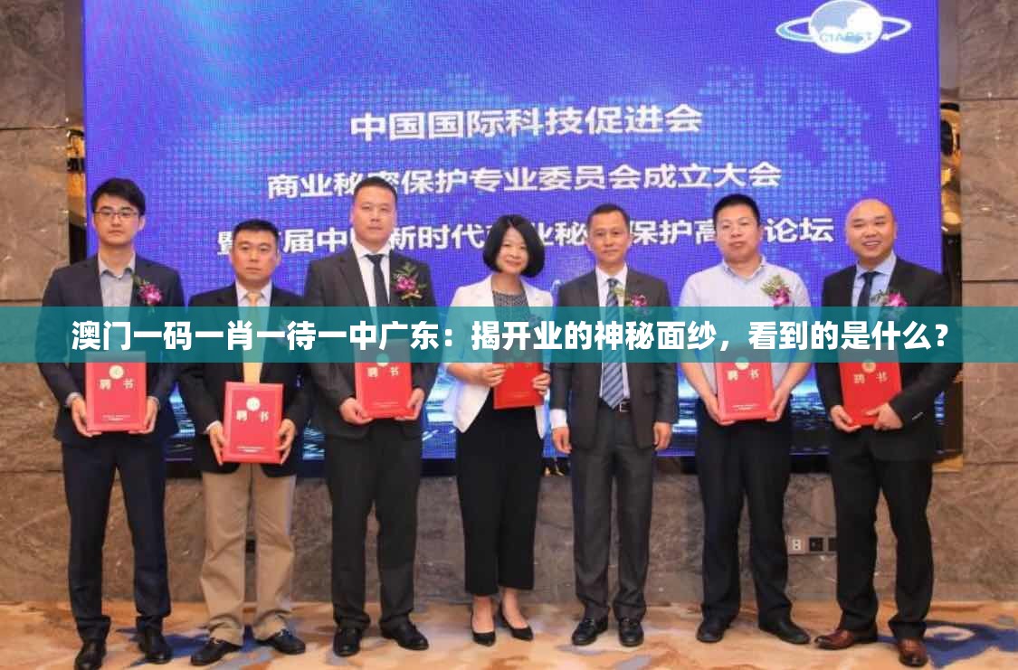 澳门一码一肖一待一中广东：揭开业的神秘面纱，看到的是什么？