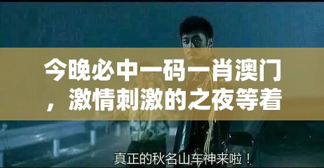 今晚必中一码一肖澳门，激情刺激的之夜等着你揭开神秘的面纱