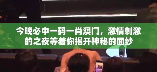 今晚必中一码一肖澳门，激情刺激的之夜等着你揭开神秘的面纱