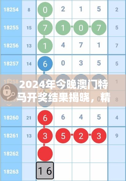 2024年今晚澳门特马开奖结果揭晓，精彩预测与分析等你来看！
