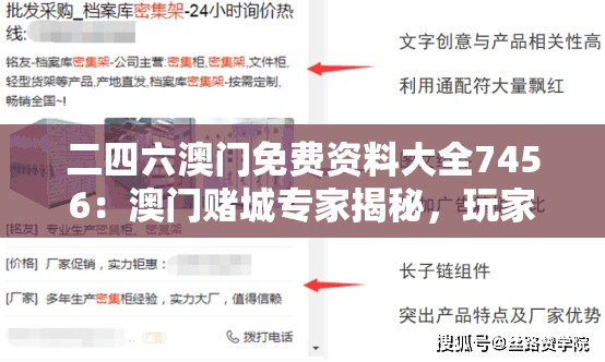 二四六澳门免费资料大全7456：澳门赌城专家揭秘，玩家必备最全资讯指南