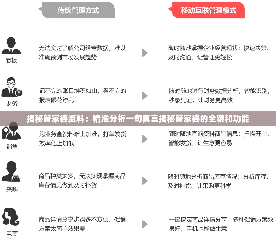 揭秘管家婆资料：精准分析一句真言揭秘管家婆的全貌和功能