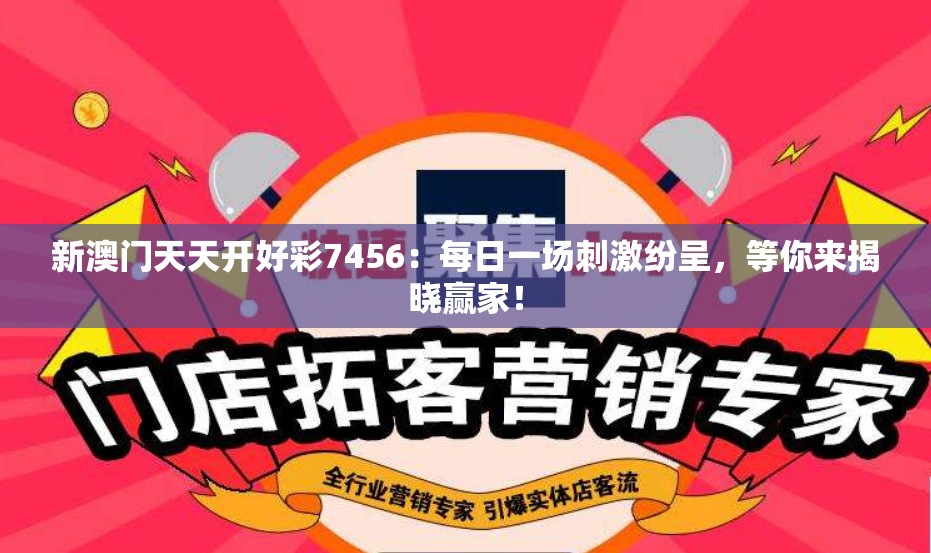 (三国谋定天下阵容推荐排行榜)三国谋定天下阵容，策略与力量的完美结合