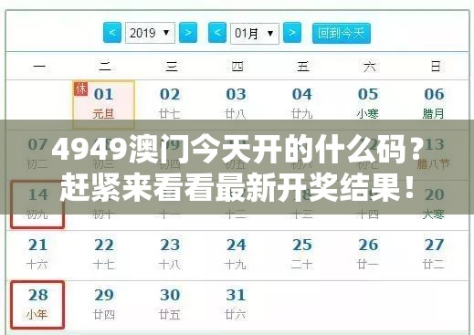 (萌娘契约更新后叫什么动漫)萌娘契约更新后的新名称及其影响分析