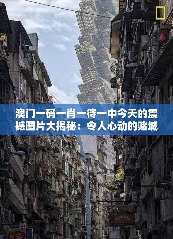澳门一码一肖一待一中今天的震撼图片大揭秘：令人心动的赌城风光。