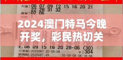 新奥天天免费资料单双：赢取高额奖金，轻松提升财富！